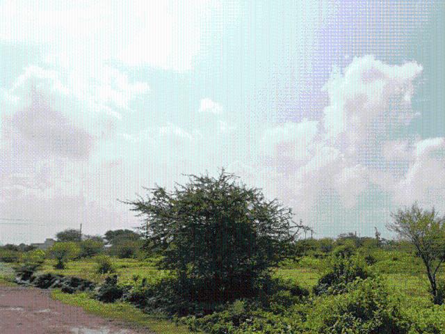 Land for sale in Raipur