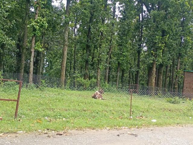 Land for sale in Maru Sidh, Uttarakhand