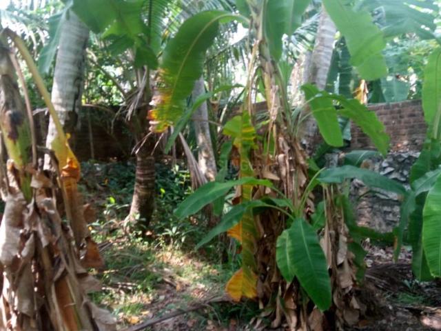 Land for sale in Kerala