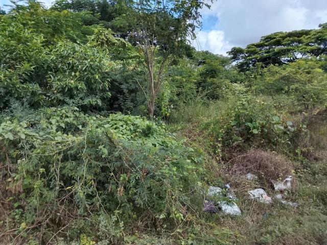 Land for sale in Kelambakkam, Tamil Nadu