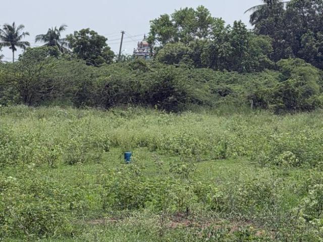 Land for sale in Poondi, Thiruvallur