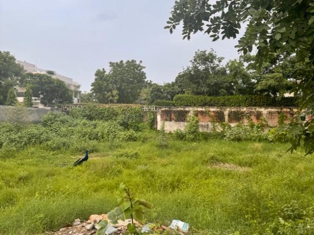 Land for sale in Sarkhej, Gujarat