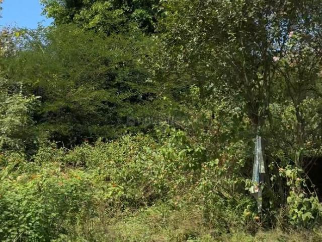 Land for sale in Mohanpur, Dehradun