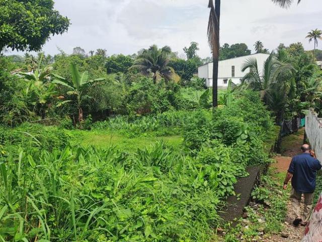Land for sale in Ernakulam