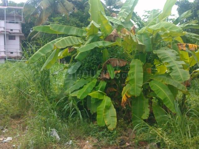 Land for sale in Thrissur, Kerala