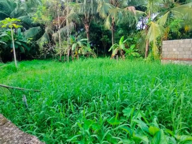 Land for sale in Thrissur, Kerala
