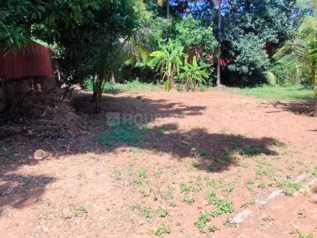 Land for sale in Thrissur, Kerala