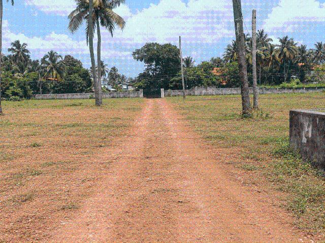 Land for sale in Thrissur, Kerala