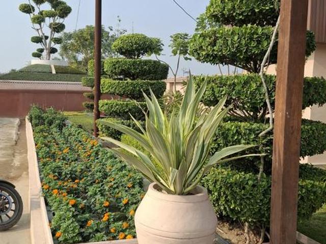 Land for sale in Mohanlalganj, Arunachal Pradesh