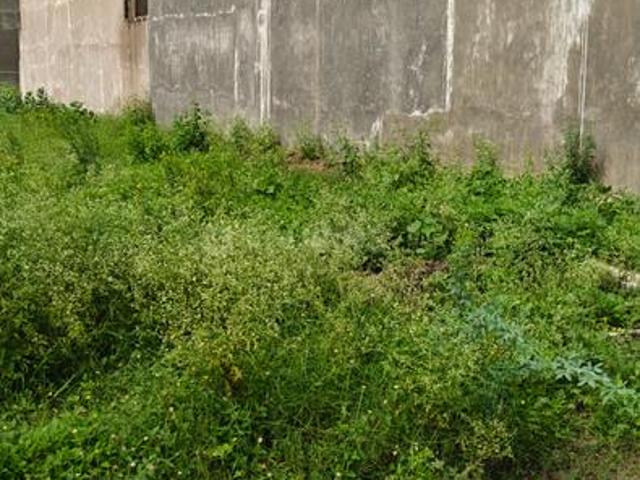 Land for sale in Mohanlalganj, Arunachal Pradesh