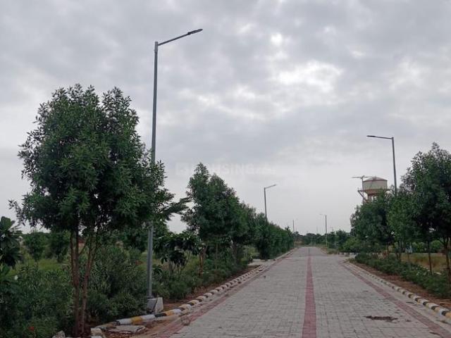 Land for sale in Ganwar Jatan, Purshottampura @ Dadiya