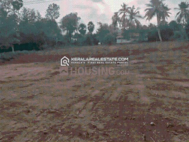 Land for sale in Palakkad, Kerala
