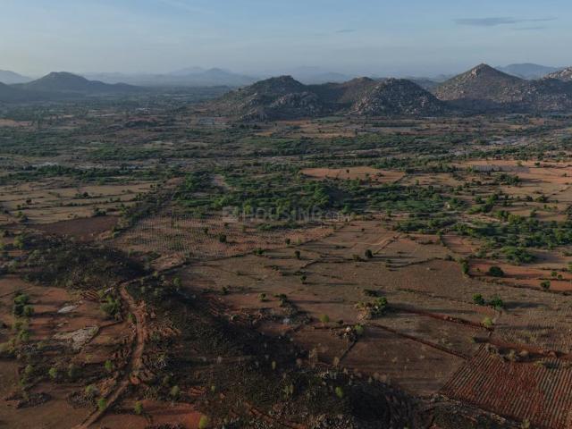Land for sale in Parigi, Andhra Pradesh