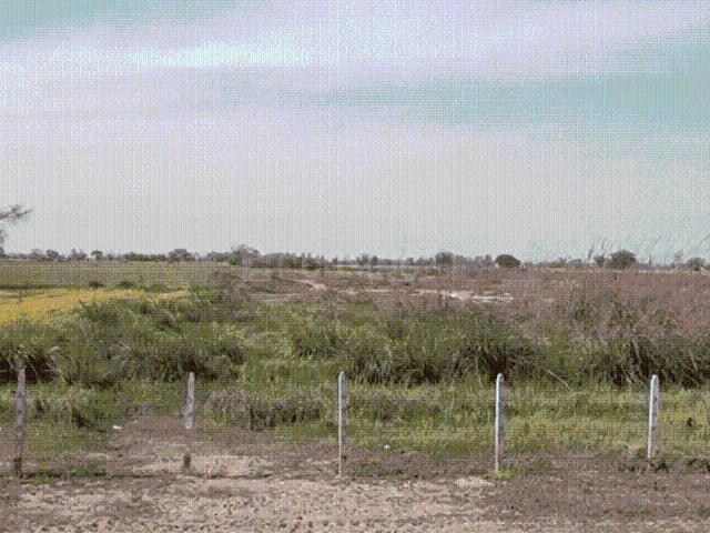 Land for sale in Mathara, Arunachal Pradesh