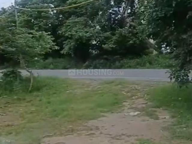 Land for sale in Nagla Pisawa, Basonti