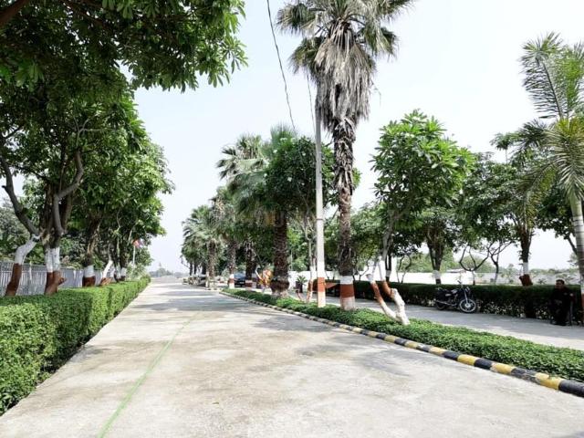 Land for sale in Arunachal Pradesh