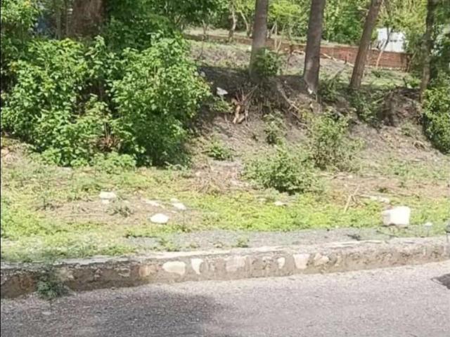 Land for sale in Dehra Dun