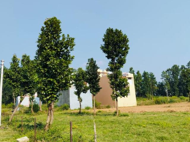Land for sale in Kedarpur, Uttarakhand
