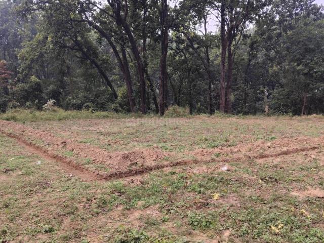 Land for sale in Kedarpur, Uttarakhand
