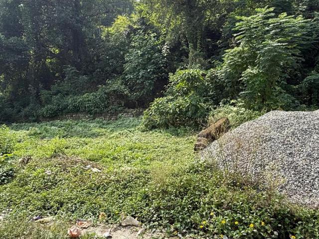 Land for sale in Dehradun