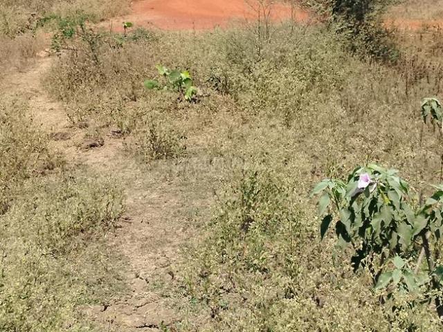 Land for sale in Raipur, Chhattisgarh
