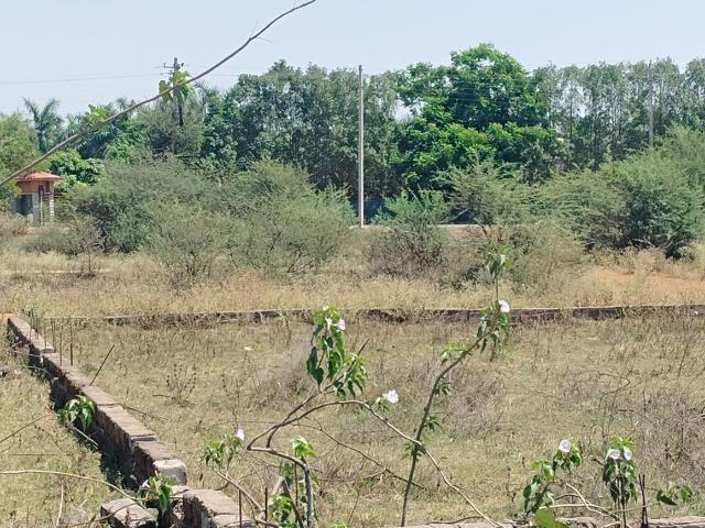 Land for sale in Raipur, Chhattisgarh