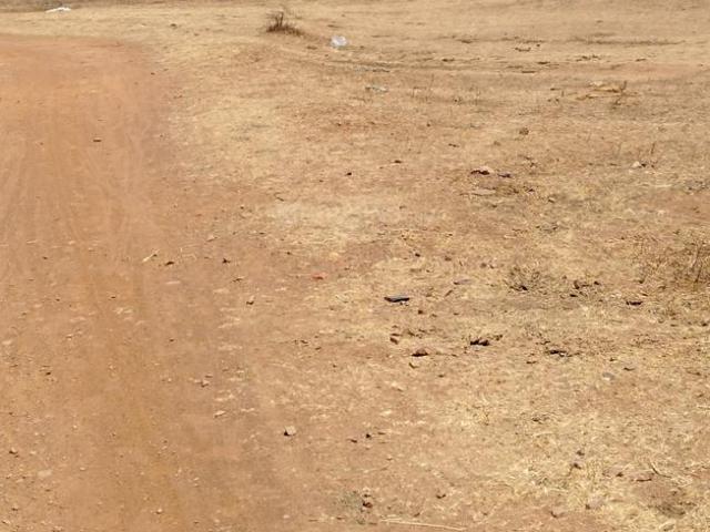 Land for sale in Raipur, Chhattisgarh