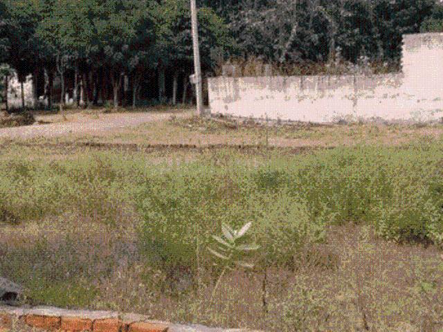 Land for sale in Raipur, Chhattisgarh