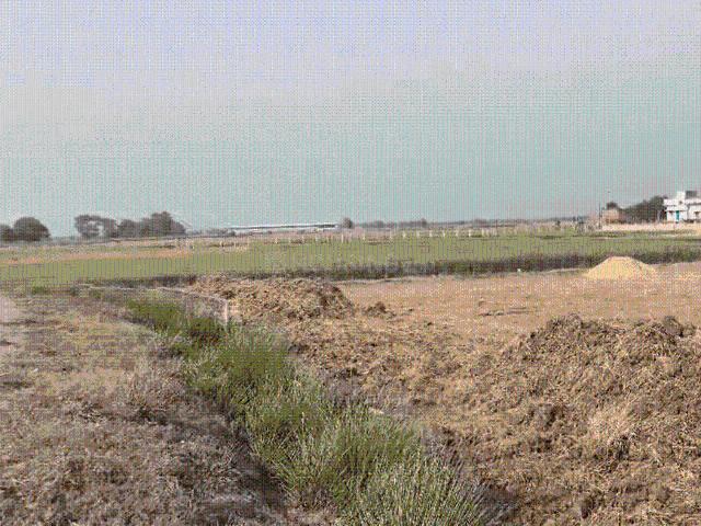 Land for sale in Bihar