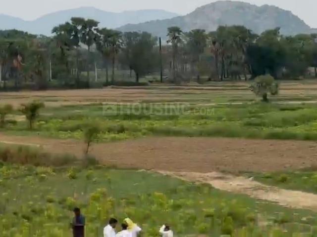 Land for sale in Bihar