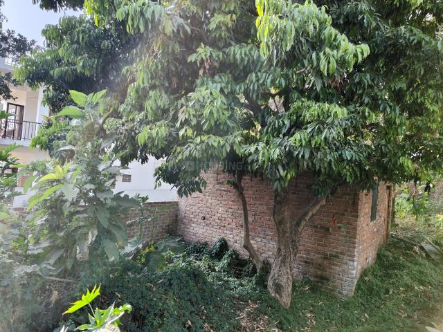 Land for sale in Kedarpur, Uttarakhand