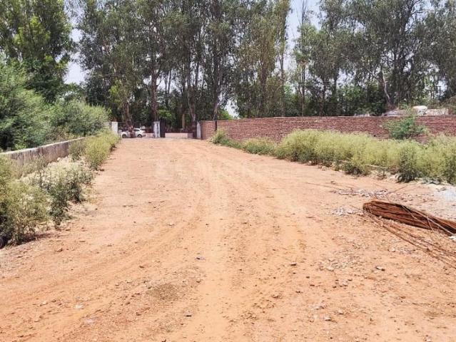 Land for sale in Mathara, Arunachal Pradesh