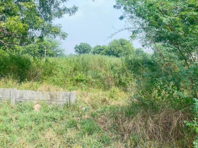 Land for sale in Gujarat