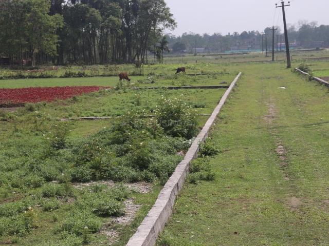 Land for sale in Naxalbari, West Bengal