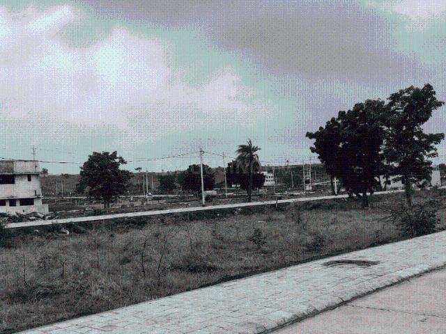 Land for sale in Madya