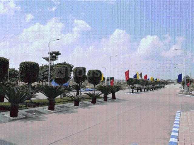 Land for sale in Nihalpurmundi, Indore