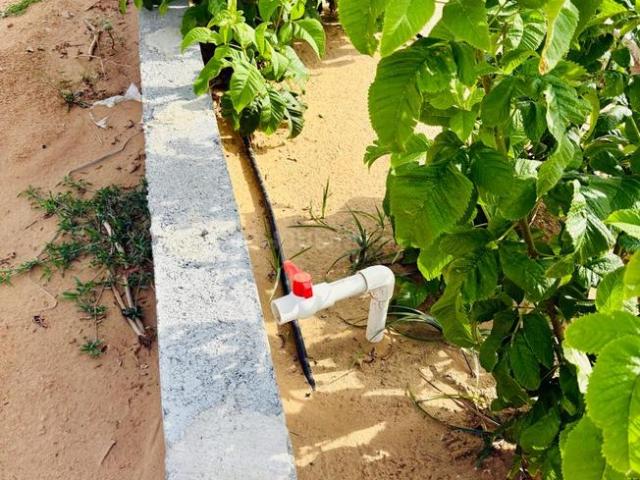 Land for sale in Renwal, Rajasthan