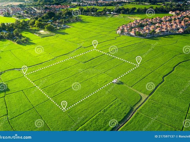 Land for sale in Chandauli, Arunachal Pradesh