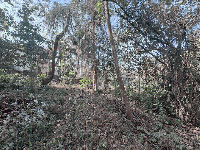 Land for sale in Revora, Goa