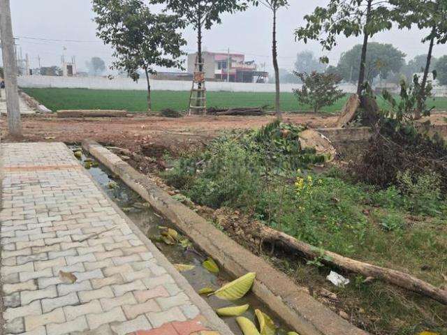 Land for sale in Tora, Arunachal Pradesh