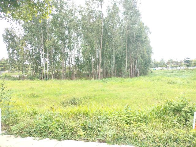 Land for sale in Karnataka