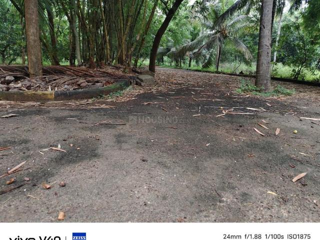 Land for sale in Patha Sabbavaram, Sabbavaram