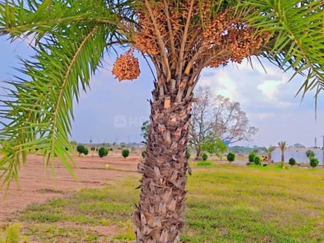 Land for sale in Sadasivpet, Telangana