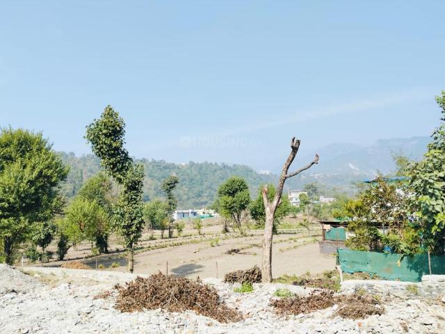 Land for sale in Kedarpur, Uttarakhand