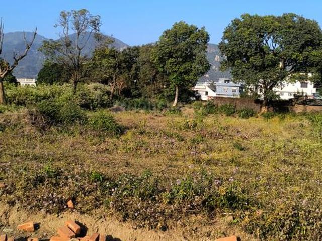 Land for sale in Kedarpur, Uttarakhand