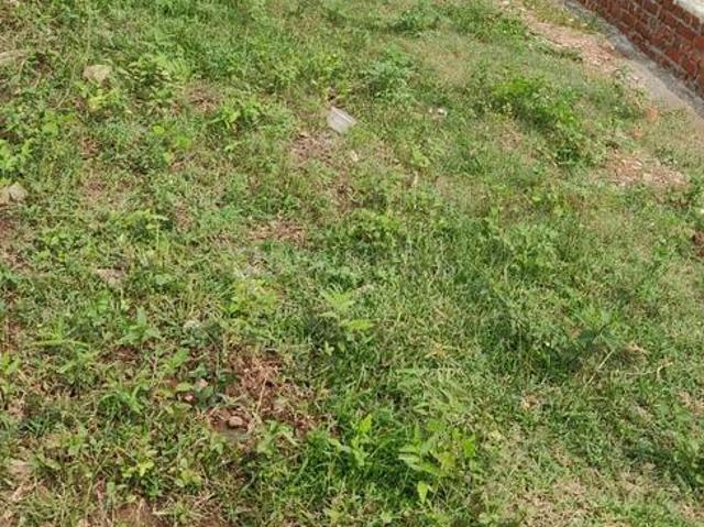 Land for sale in Kedarpur, Uttarakhand