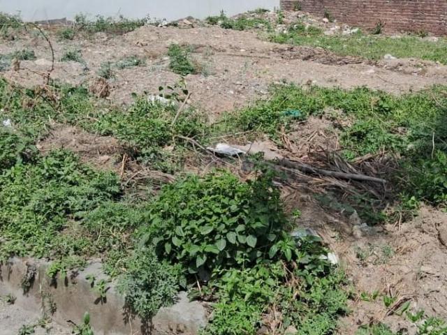 Land for sale in Kedarpur, Uttarakhand