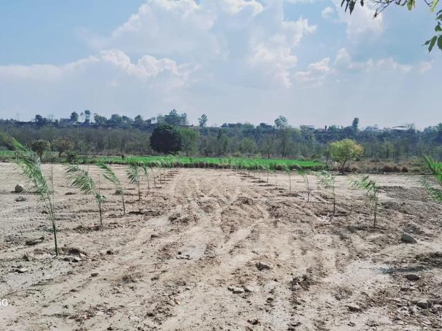 Land for sale in Kedarpur, Uttarakhand