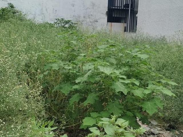 Land for sale in Kedarpur, Uttarakhand
