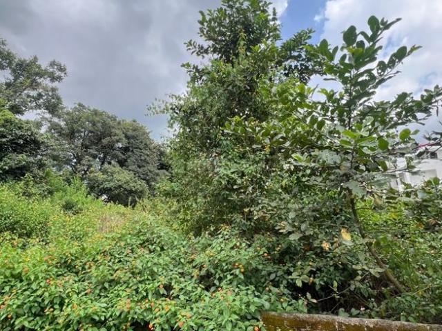 Land for sale in Dehradun